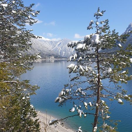 Ammerwald Alm Plansee Dış mekan fotoğraf