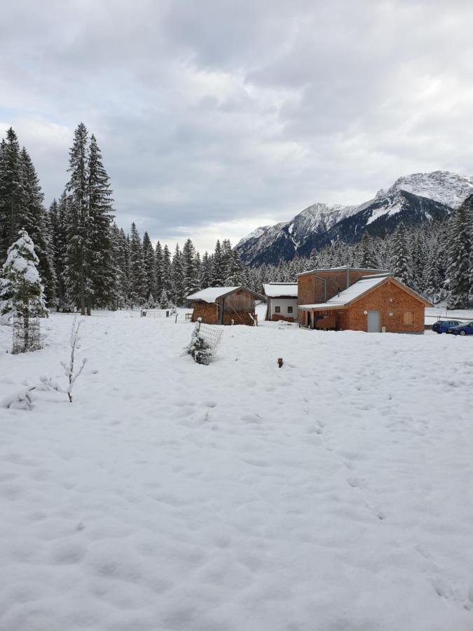Ammerwald Alm Plansee Dış mekan fotoğraf
