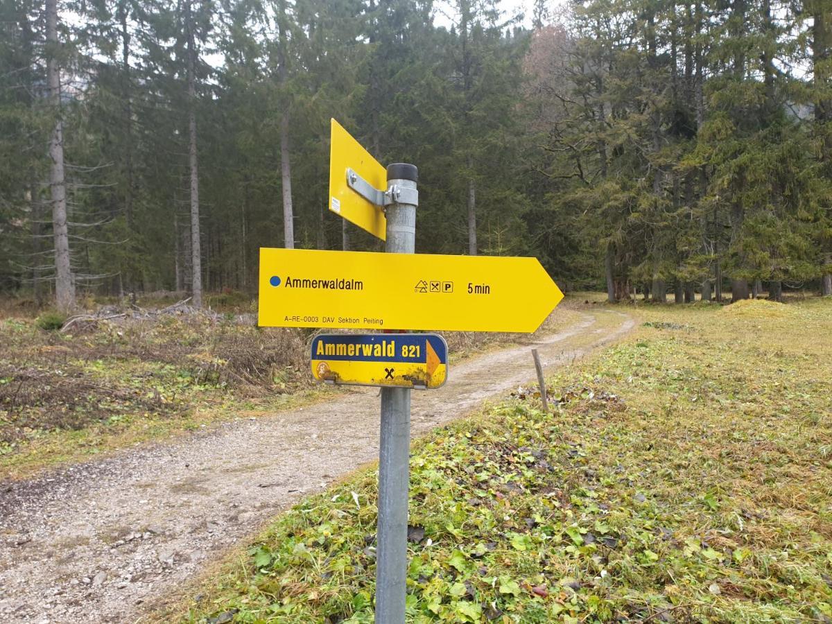 Ammerwald Alm Plansee Dış mekan fotoğraf