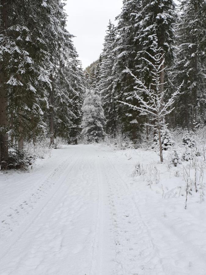 Ammerwald Alm Plansee Dış mekan fotoğraf