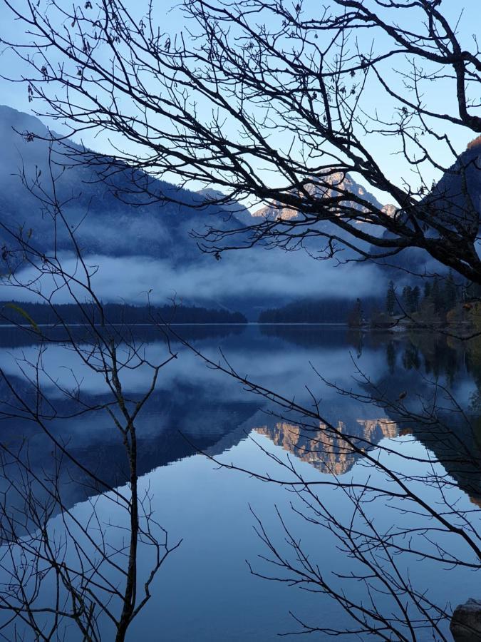 Ammerwald Alm Plansee Dış mekan fotoğraf