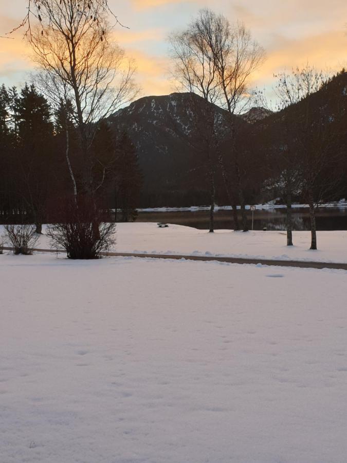 Ammerwald Alm Plansee Dış mekan fotoğraf