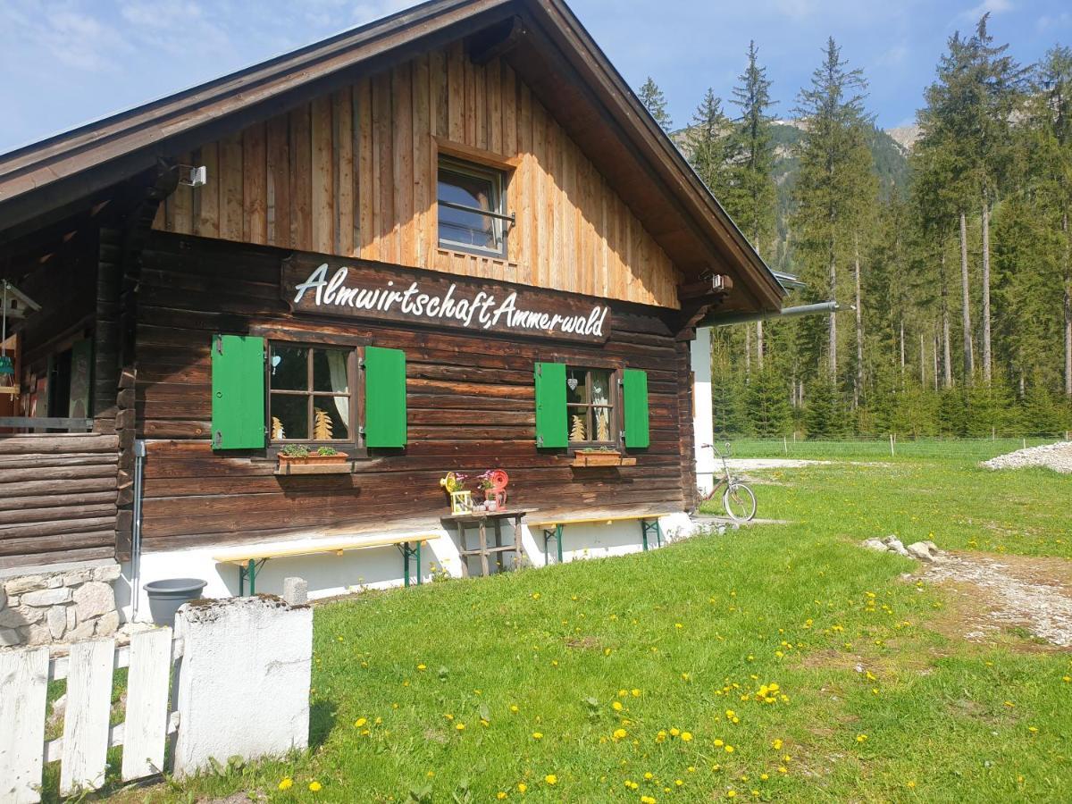 Ammerwald Alm Plansee Dış mekan fotoğraf