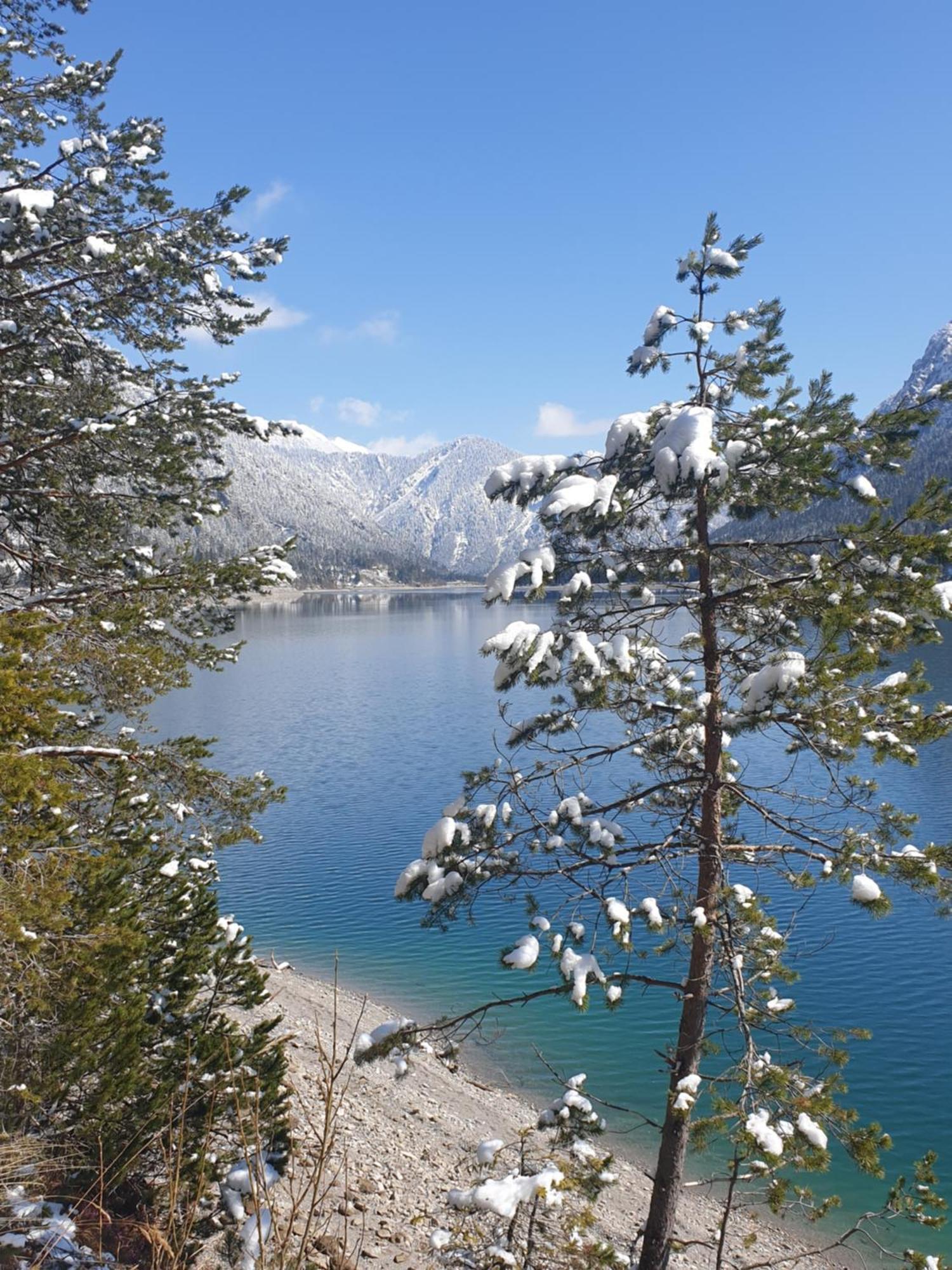 Ammerwald Alm Plansee Dış mekan fotoğraf